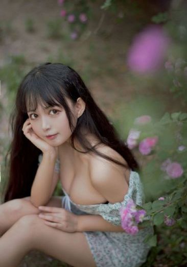 情满雪阳花高清免费观看