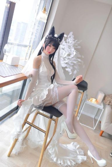 樱花视频高清观看