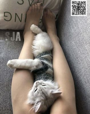 堕落花之鬼打墙