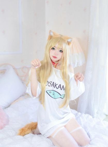 完美的人