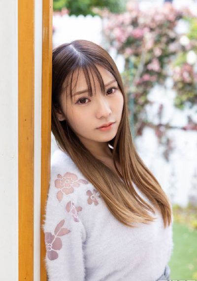 法政先锋1