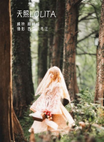 玫瑰的故事免费看