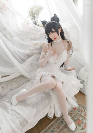 赘婿