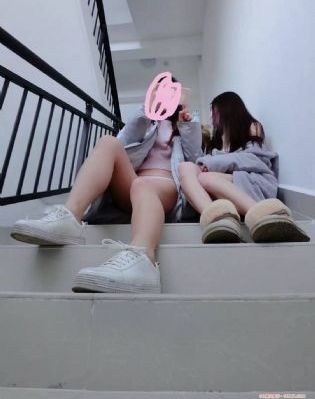 枫与铃樱花动漫无删减免费版