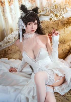 笨贼妙探